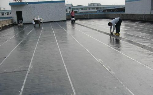 如何鑒定防水卷材和防水涂料的質量？簡單幾招保障防水效果